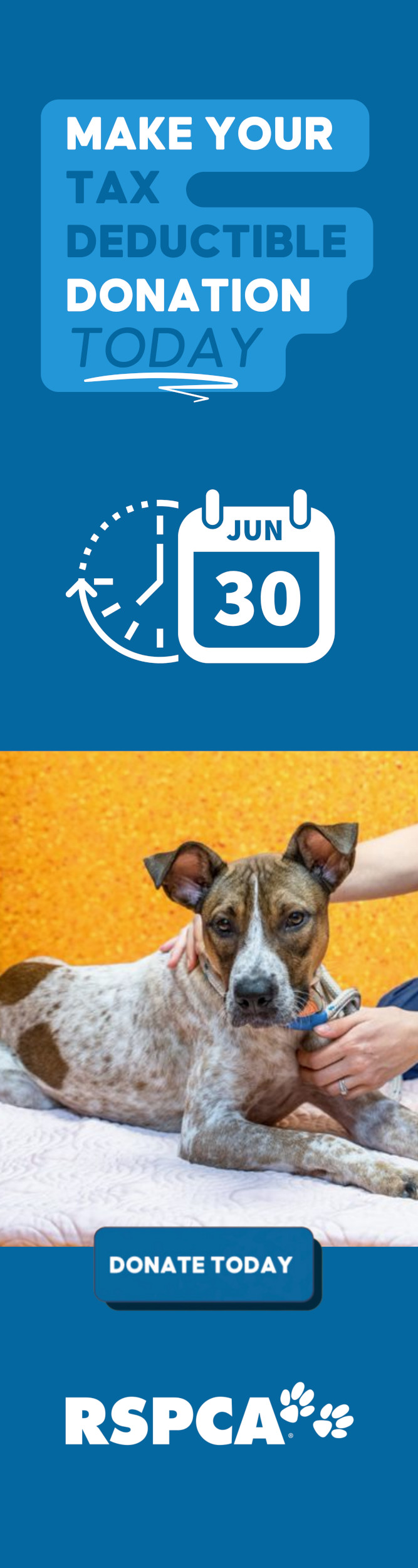 RSPCA ADOPT A PET RSPCA Adopt a pet