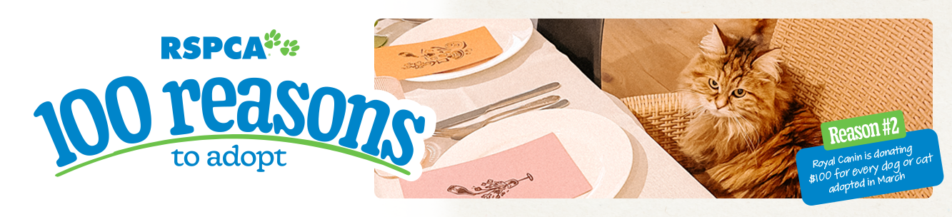 RSPCA 100 reasons to adopt