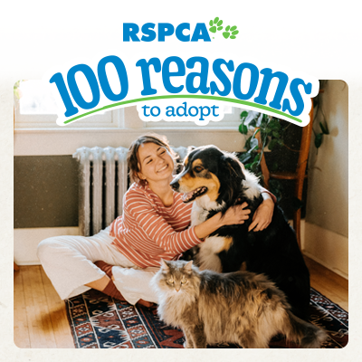 RSPCA 100 reasons to adopt