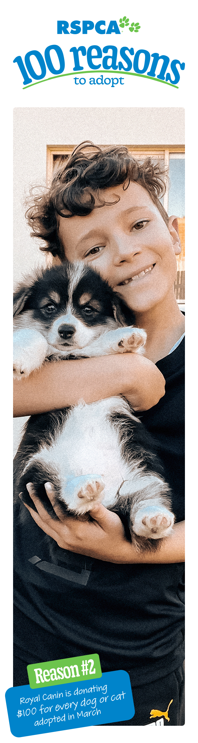 RSPCA 100 reasons to adopt
