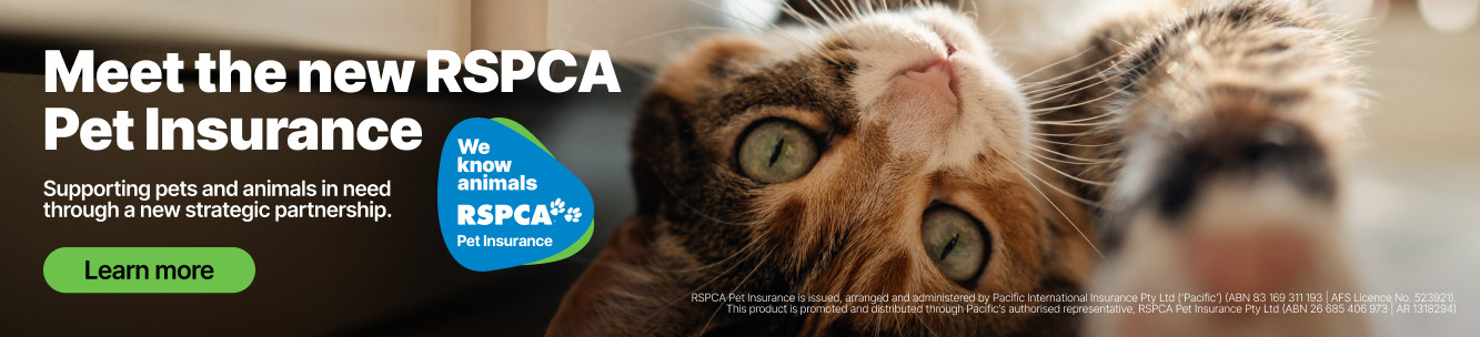 RSPCA Pet Insurance